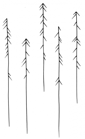 Arrows / Trees 1